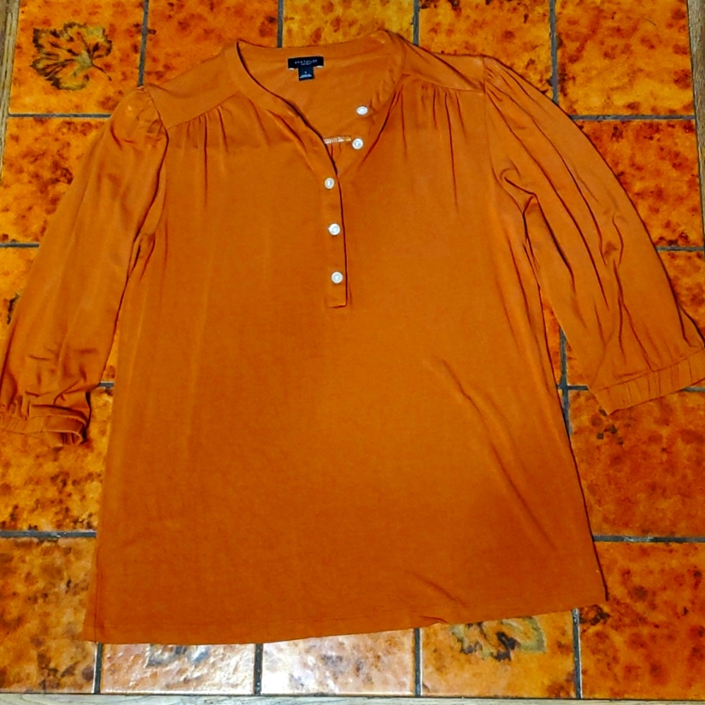 Ann Taylor pumpkin ¾ sleeve rayon top